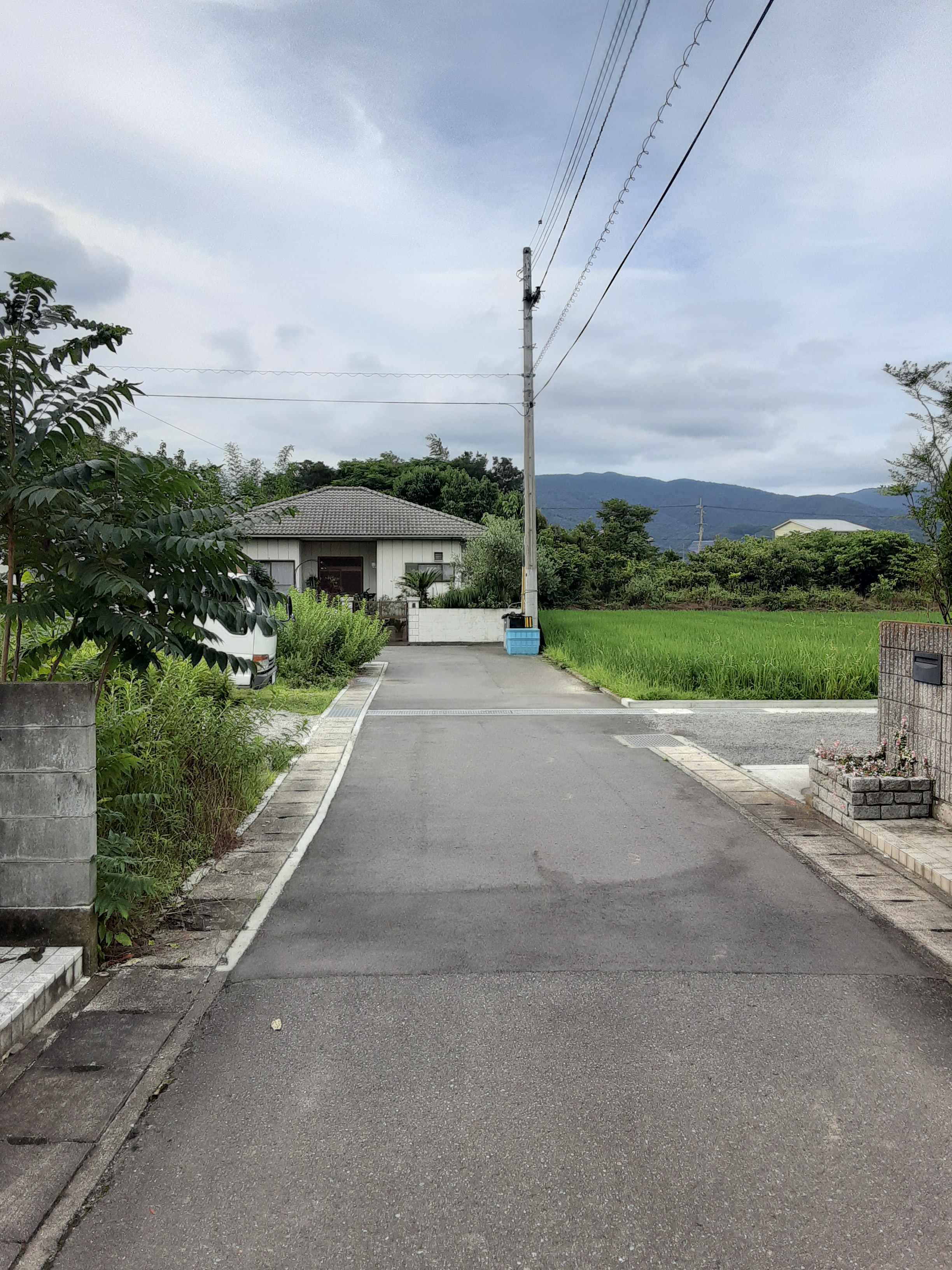 前面道路