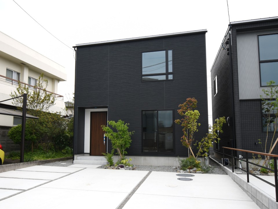 撮影月：2025年1月