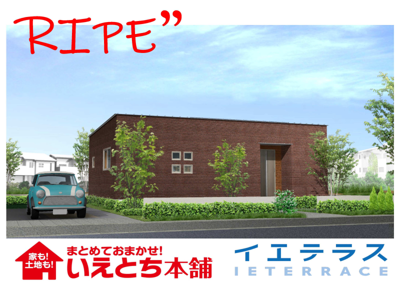 平屋がぴったり広い敷地!